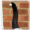Cat Dictionary: periscope tail